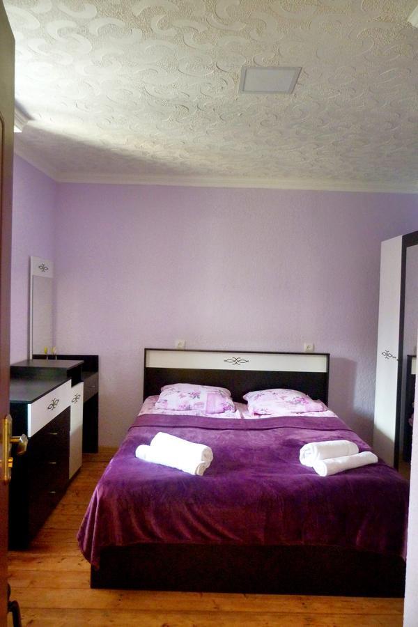 Sunny Guesthouse カズベギ エクステリア 写真